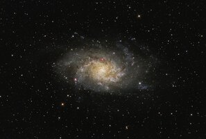 M33 12er G250 91x60s.jpg