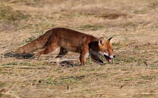 IMG_1897.jpeg