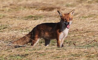 IMG_1896.jpeg