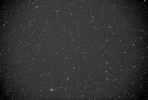 IMG_0238.jpeg