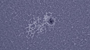 CapObj_104541_lapl2_ap33180.jpg