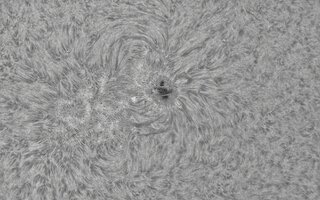CapObj_105500_lapl2_ap9402.jpg