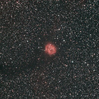 IC5164 31x120s guided Apo102f4 ASI533MC gain120 resized.jpg