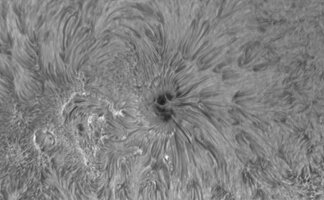 1_2026-07-08-1544_9-Sonne Ha Mak180-fok-DS-AM_P60 (AR4482)-klein.jpg