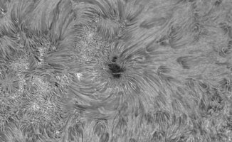 3_2026-07-10-0736_4-Sonne Ha Mak180-6400-DS-AM_P40 (AR4482)-klein.jpg