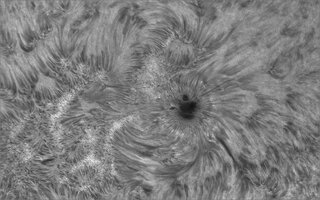 4_2026-07-11-0622_7-Sonne Ha Mak180-6400-DS-AM_P60 (AR4482)-regitax-a-klein.jpg
