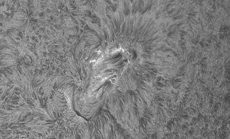 2026-07-10-0650_2-Sonne Ha Mak180-6400-DS-AM_P40 (AR4485)-klein.jpg