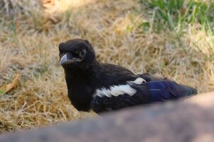 IMG_3167.JPG