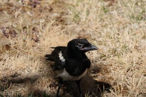 IMG_3174.JPG