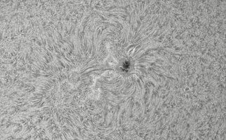 CapObj_090035_lapl2_ap9574.jpg