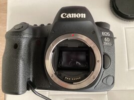 IMG_2393.jpeg