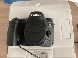 IMG_2392.jpeg