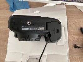IMG_2390.jpeg