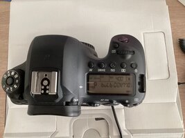 IMG_2389.jpeg