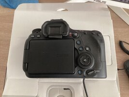 IMG_2387.jpeg