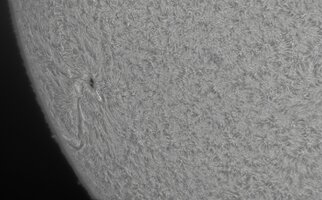 CapObj_091531_lapl3_ap8504.jpg