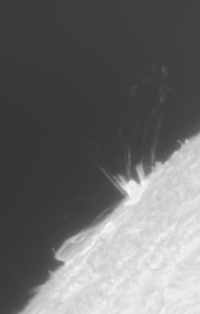 2026-07-13-1411_6-U-L-Sun_Halpha_g4_ap30_conv_aligned_aligned_pipp.gif