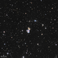 NGC_2444_LRGB_744min_2026-04-07_V01.1_crop.jpg