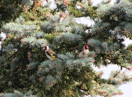 IMG_0086.JPG