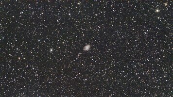 M1 IMG_2131.JPG