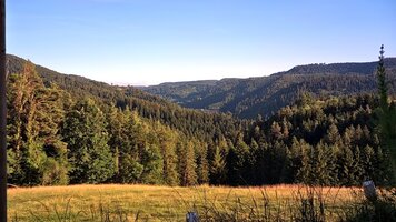 IMG_5480.JPG