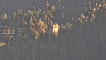 IMG_5479.JPG