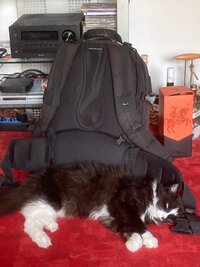 IMG_1002.jpeg