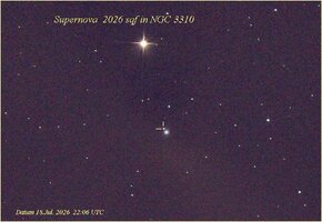 SN_N3310_290718-2206web.jpg