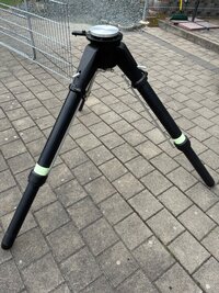 IMG_6197.jpeg