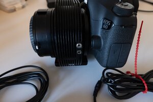A96A2315.JPG