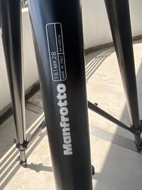 IMG_2370.jpeg