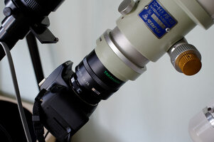 DSC_1965_small.jpg