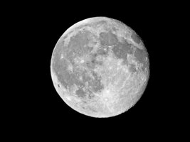 Swaro-EL10x50_Mond_13_10_11_20Uhr_F.jpg