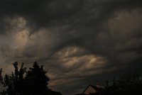 IMG_8221.JPG