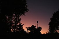 IMG_8283.JPG