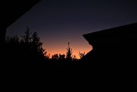 IMG_8288.JPG