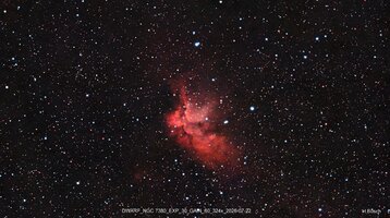 DWARF_MINI NGC 7380_Duo_325x_30s60.jpg
