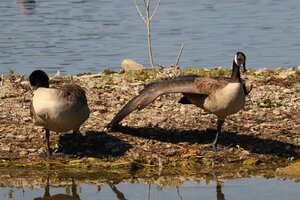 IMG_3274.JPG