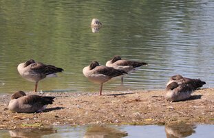IMG_3281.JPG