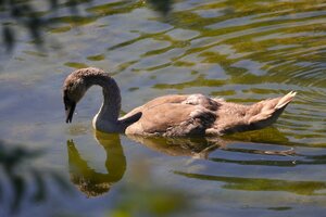 IMG_3325.JPG