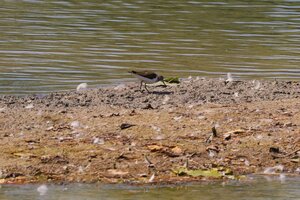 IMG_3343.JPG