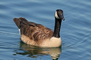 IMG_3353.JPG