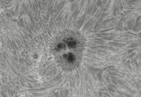 2026-07-25-0644_7-CapObj_lapl4_ap9zz420.jpg
