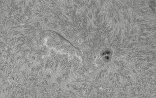 2026-07-25-0644_7-CapObj_lapl4_ap9420.jpg