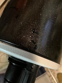 IMG_4374.jpeg