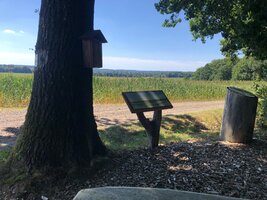 IMG_8534.jpg