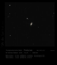 67-frosty-leo.jpg