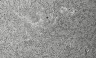 2026-07-28-0706_4-CapObj_lapl4_ap9443.jpg