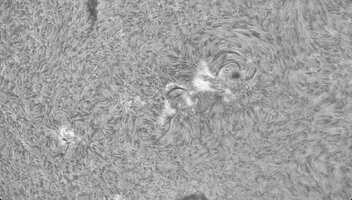 ar4499-4496.jpg