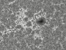 2026-07-30-0647_7-CapObj_lapl4_ap2713.jpg